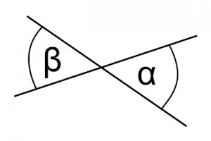 pair of vertical angles
