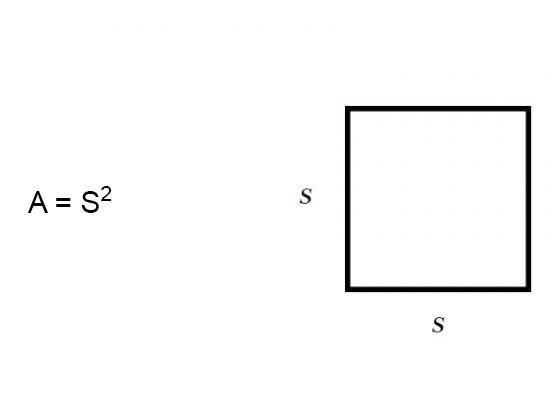 area of a square