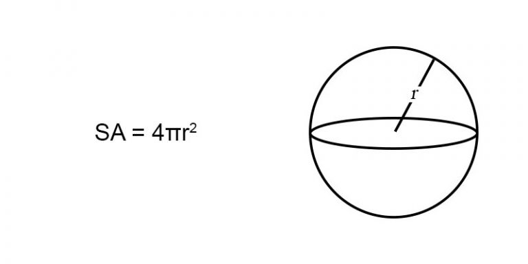 surface area of a sphere