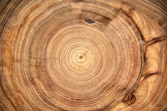 tree-rings-arithmetic-sequence