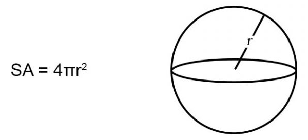 surface area of a sphere