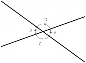 two-pairs-of-vertical-angles-a-b-c-d